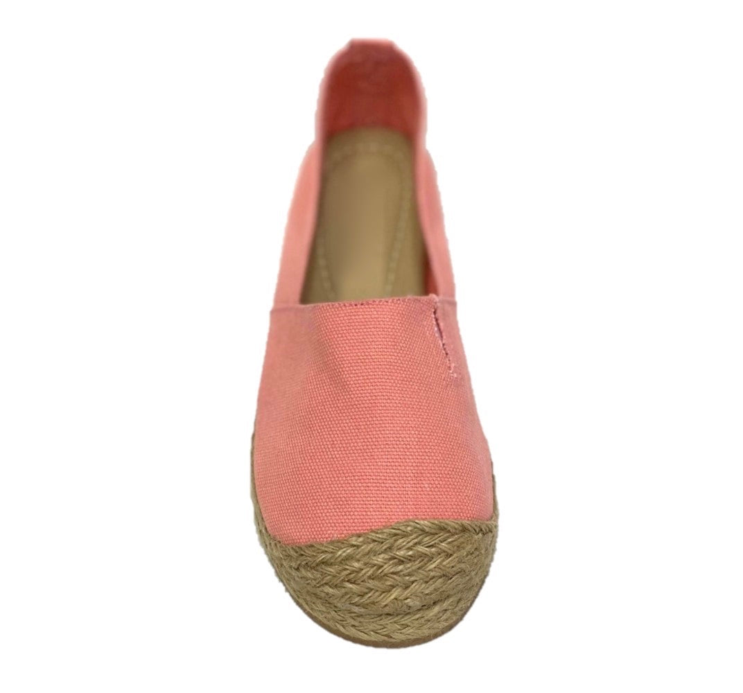 Baudelia c224801 coral