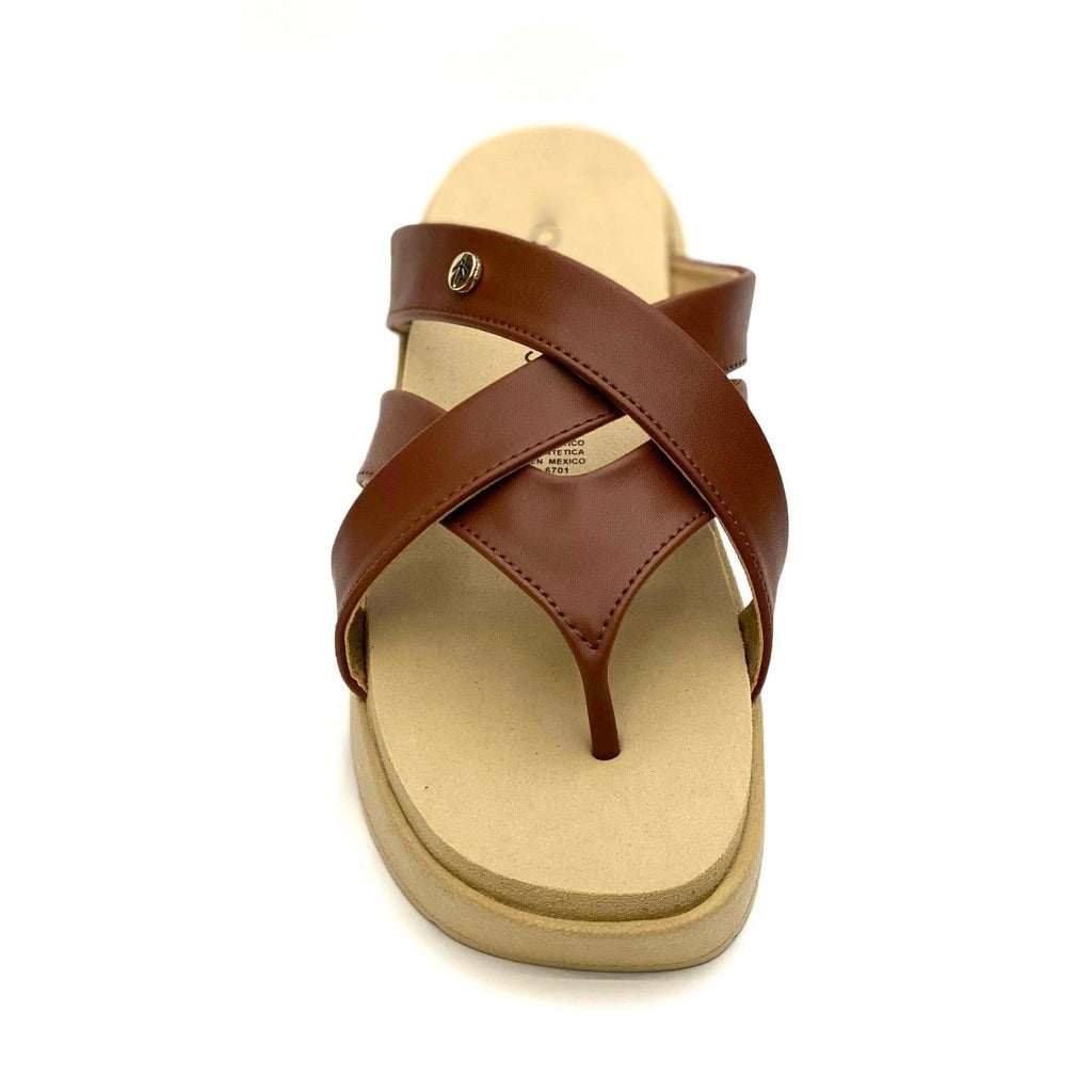Heraclia mo6701 tan